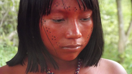 You are currently viewing Un peu d’histoire… et enjeux d’aujourd’hui pour le  peuple Yanomami