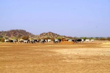 Paysage du Sahel, au nord du Burkina Faso||