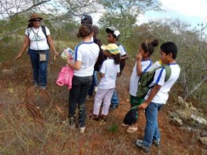 Lire la suite à propos de l’article La «pédagogie de la caatinga*», Irecê, les 20 et 21 avril 2015