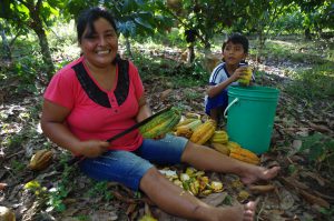 Lire la suite à propos de l’article De l’Amazonie péruvienne à la Suisse: les différentes étapes de production