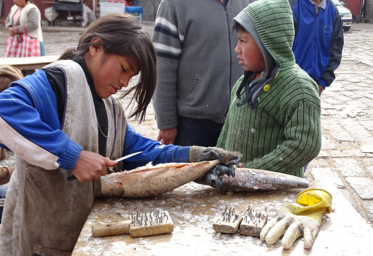Bolivie - Enfants travailleurs - Association PASOCAP | Terre des Hommes Suisse