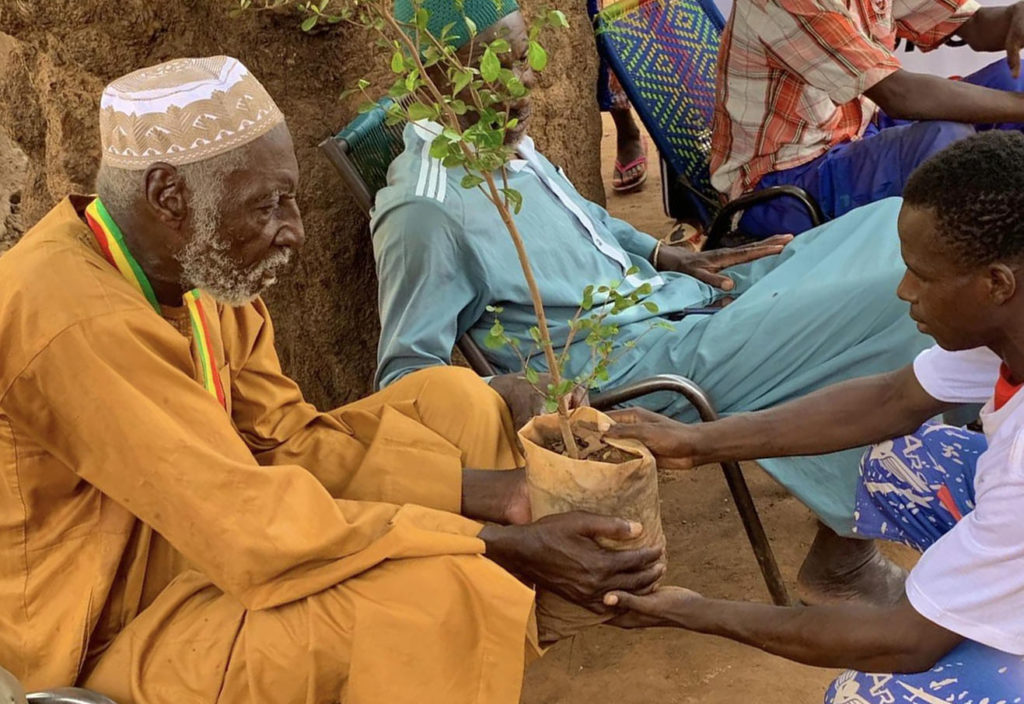 Un jeune offre une plante à un vieil homme dans le cadre de la campagne "Sauvez ma planète, sauvez mes droits"