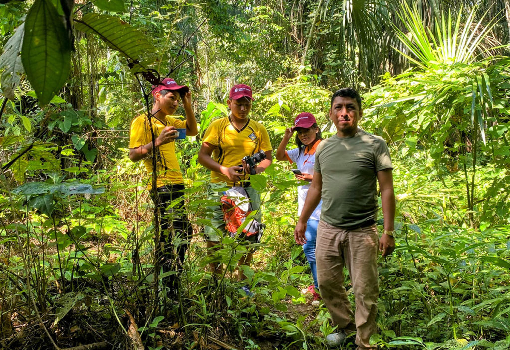 Trois jeunes accompagnés dans l'Amazonie pour photographier faune et flore