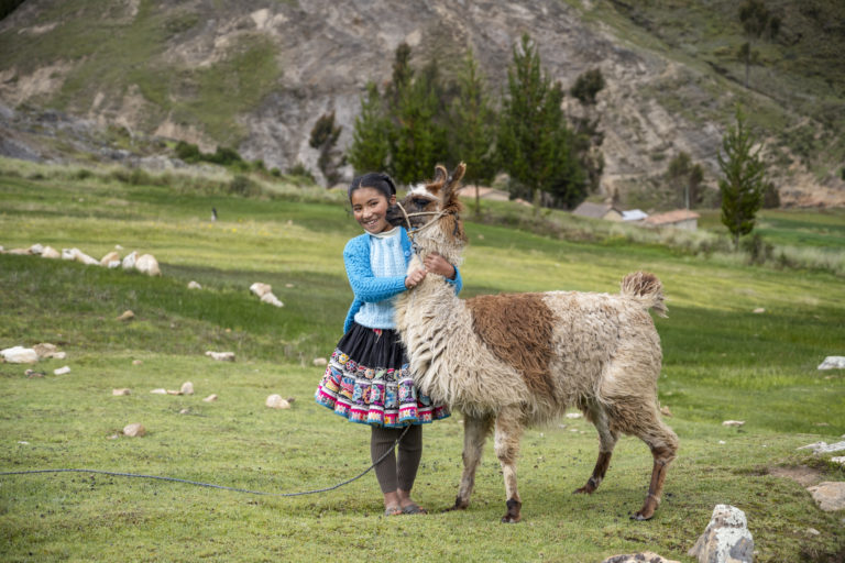 Marche de l'espoir 2025 - Pétite fille avec un lama au Pérou